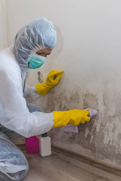 Best Industrial Mold Remediation  in Odenville, AL