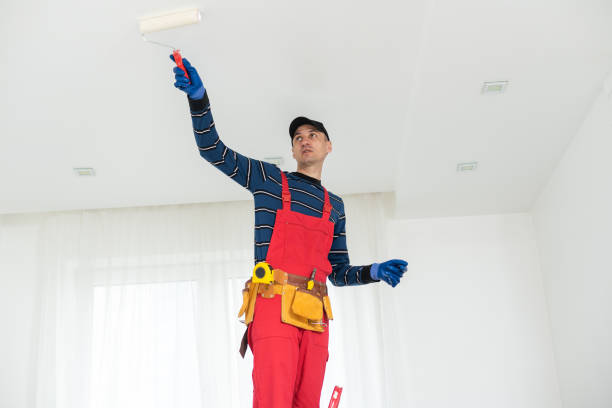 Best Mold Removal for HVAC Installations  in Odenville, AL