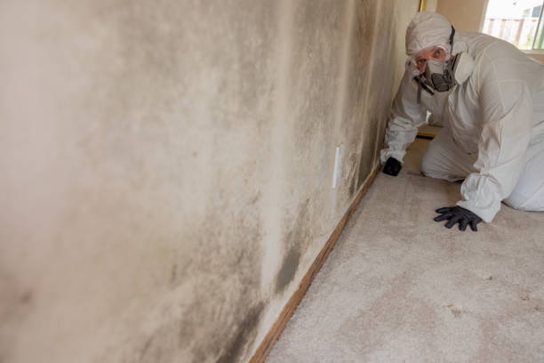Best Commercial Mold Inspection  in Odenville, AL